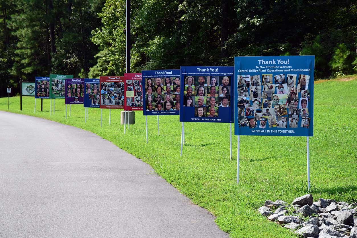 Thank You! signs along road on NIEHS campus